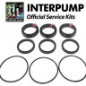 Ремкомплект головы насоса interpomp ab90 kit299 (АНАЛОГ)